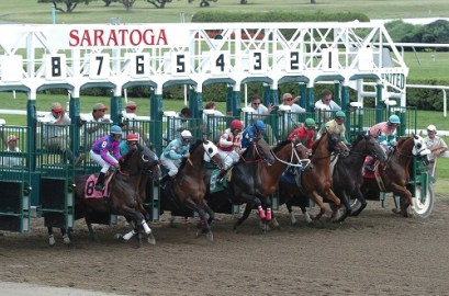 starting gate saratoga dot com